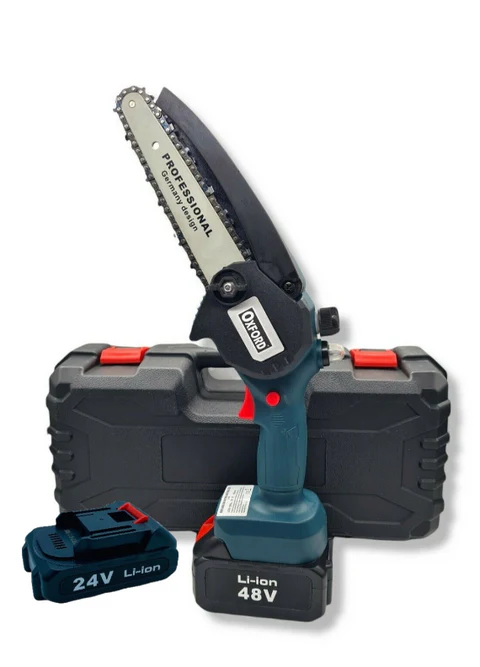 Immagine2024-06-18150056