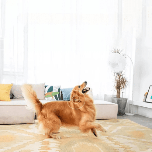 Mini telecamera di sicurezza WiFi 1080P con visione notturna e rilevamento del movimento